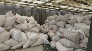 长期出售服装厂下脚料，纯棉的，一个星期出一车9.6米或13米的