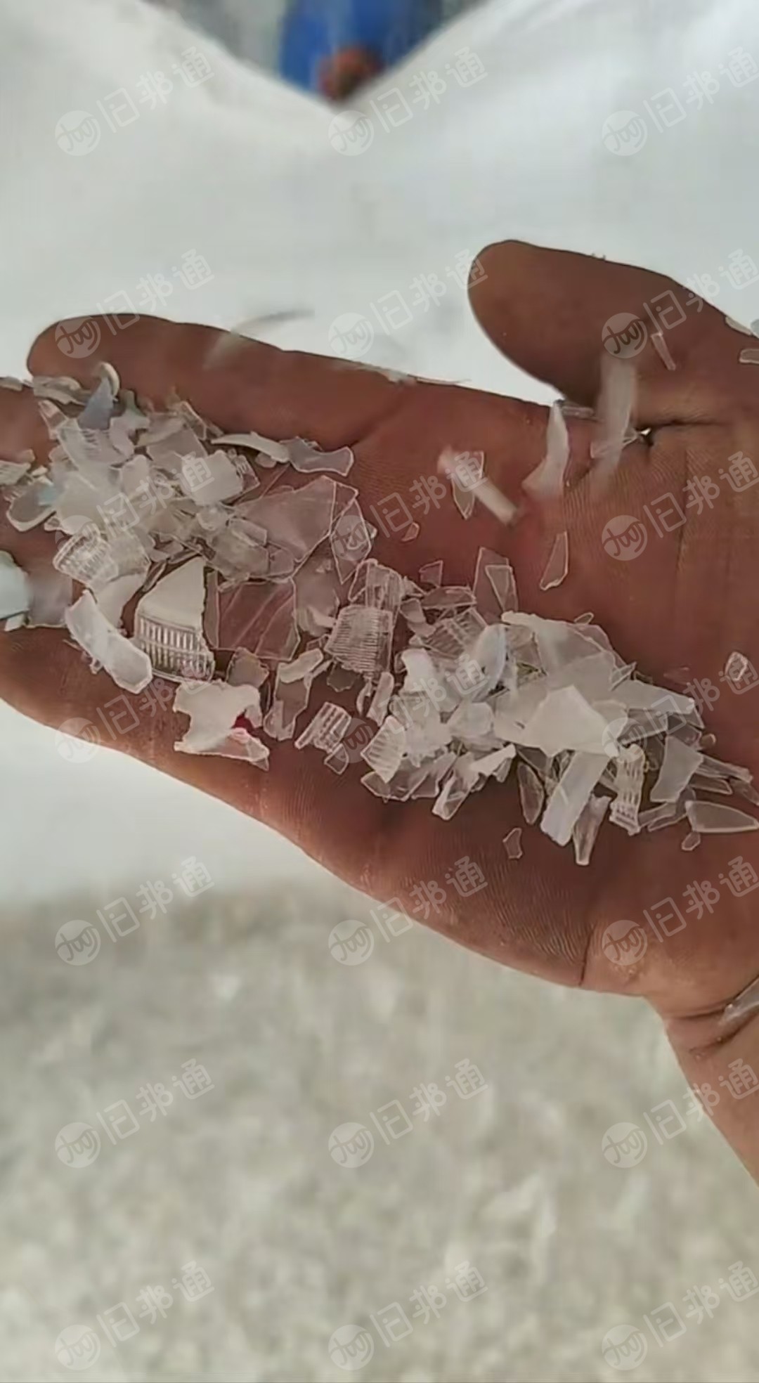 出售PE瓶盖破碎料，分色的