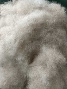 长期出售蒲绒，精品蒲绒