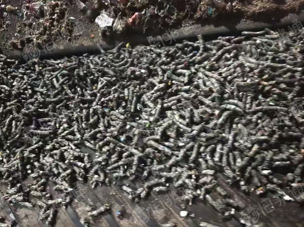 长期出售纸厂毛毛虫料