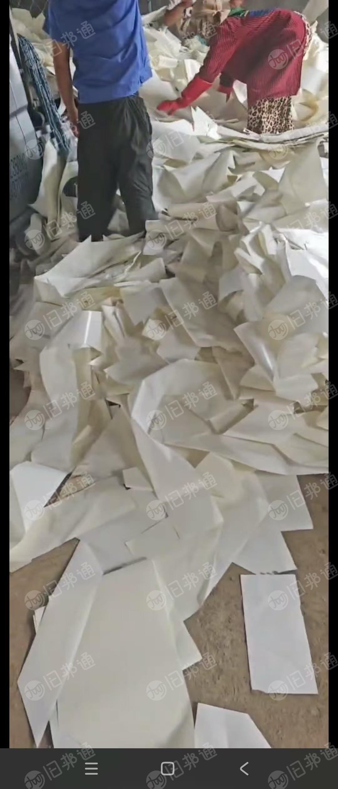 出售白色离型纸，有卷筒和散货