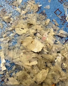 常年出售干粉餐盒破碎料