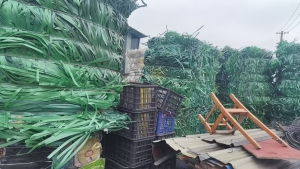 长期出售pet打包带废料，厂货，现货17.5一车