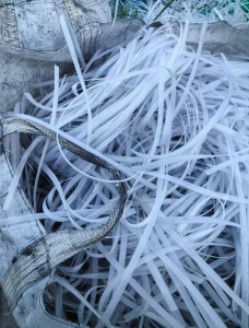 长期出售PP打包带废料