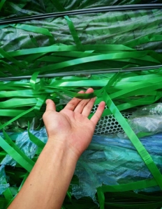 长期求购PET打包带毛料，破碎用