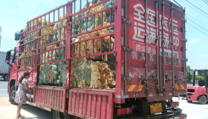 出售迷信纸边角料