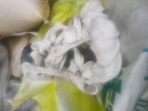 出售机头料，再生颗粒