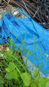 出售空心板毛料，漂沉一起，蓝黑一起压的，月供20吨左右