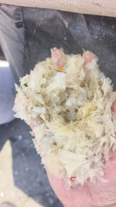 常年出售干粉餐盒破碎料,一个月有200吨左右