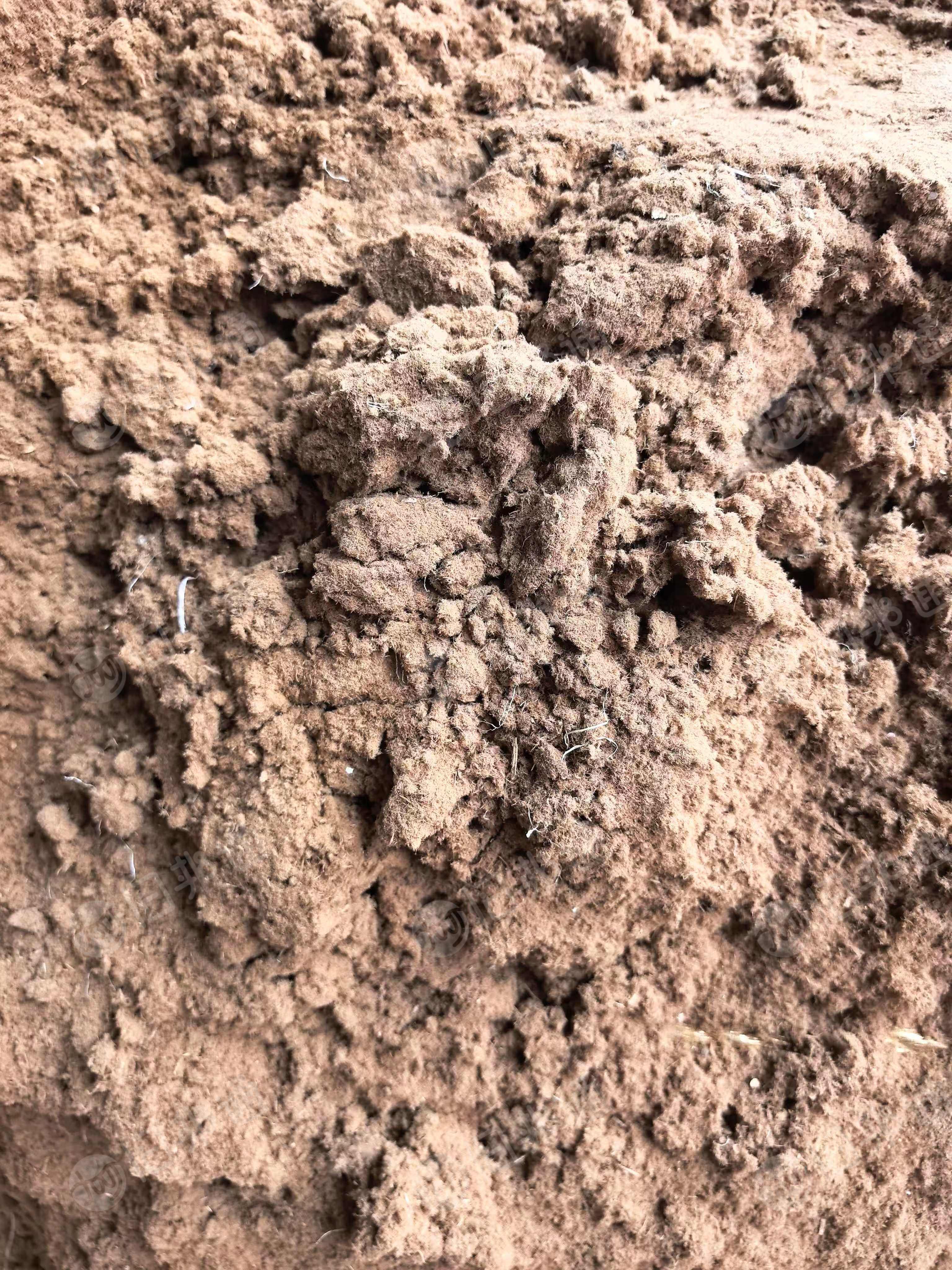 长期供应家具密度板加工的木纤维，水分30%左右