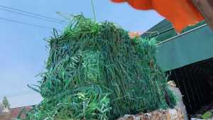 常年出售PET打包带废料