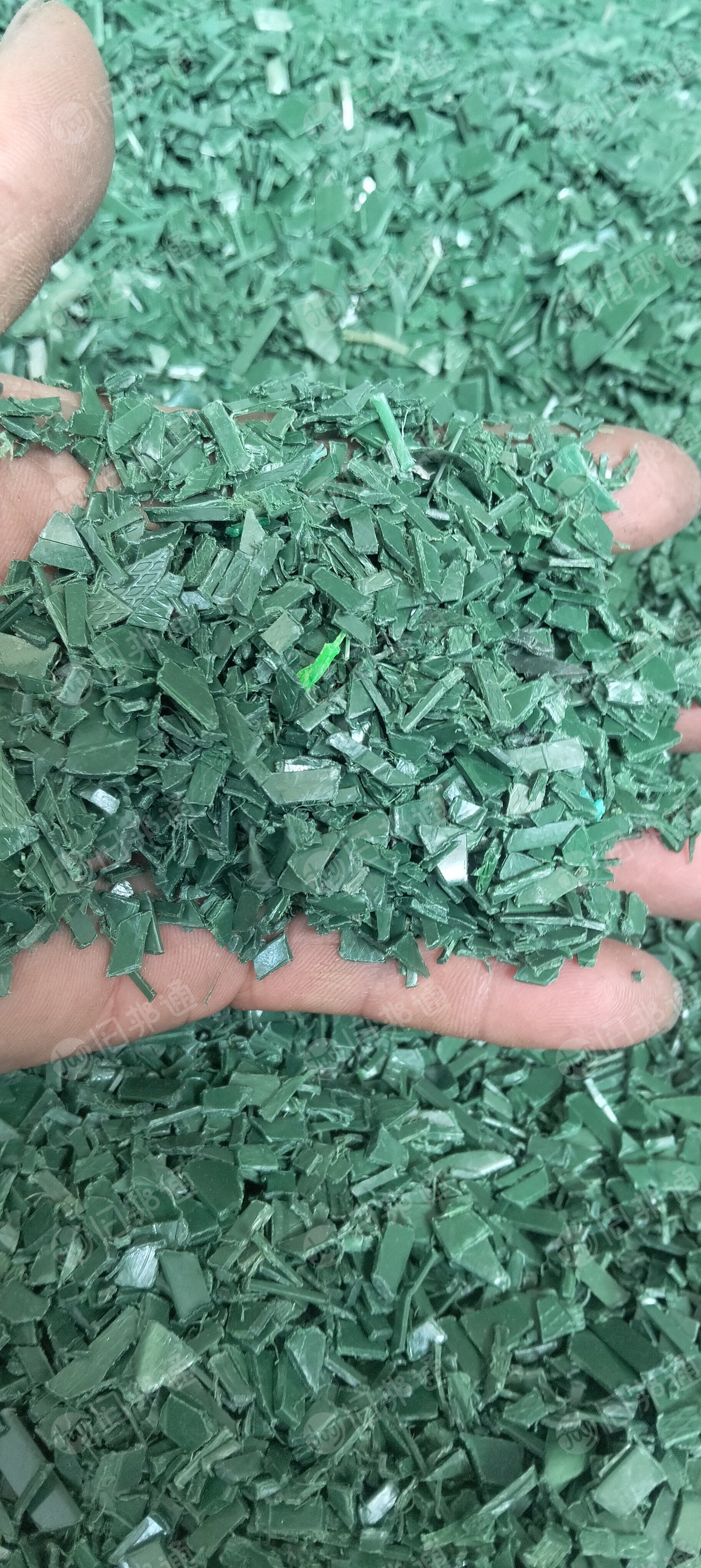 长期收购PET打包带毛料