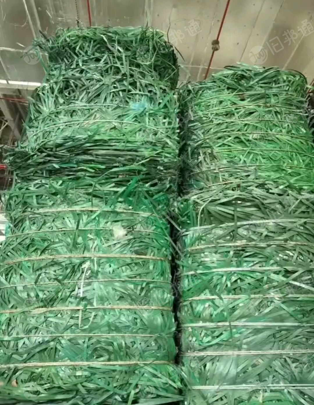 长期出售PET打包带废料，厂货