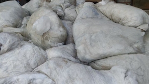 出售水洗PE膜废料，高低压膜混打的，月供一百吨