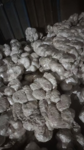 长期出售冷熔块