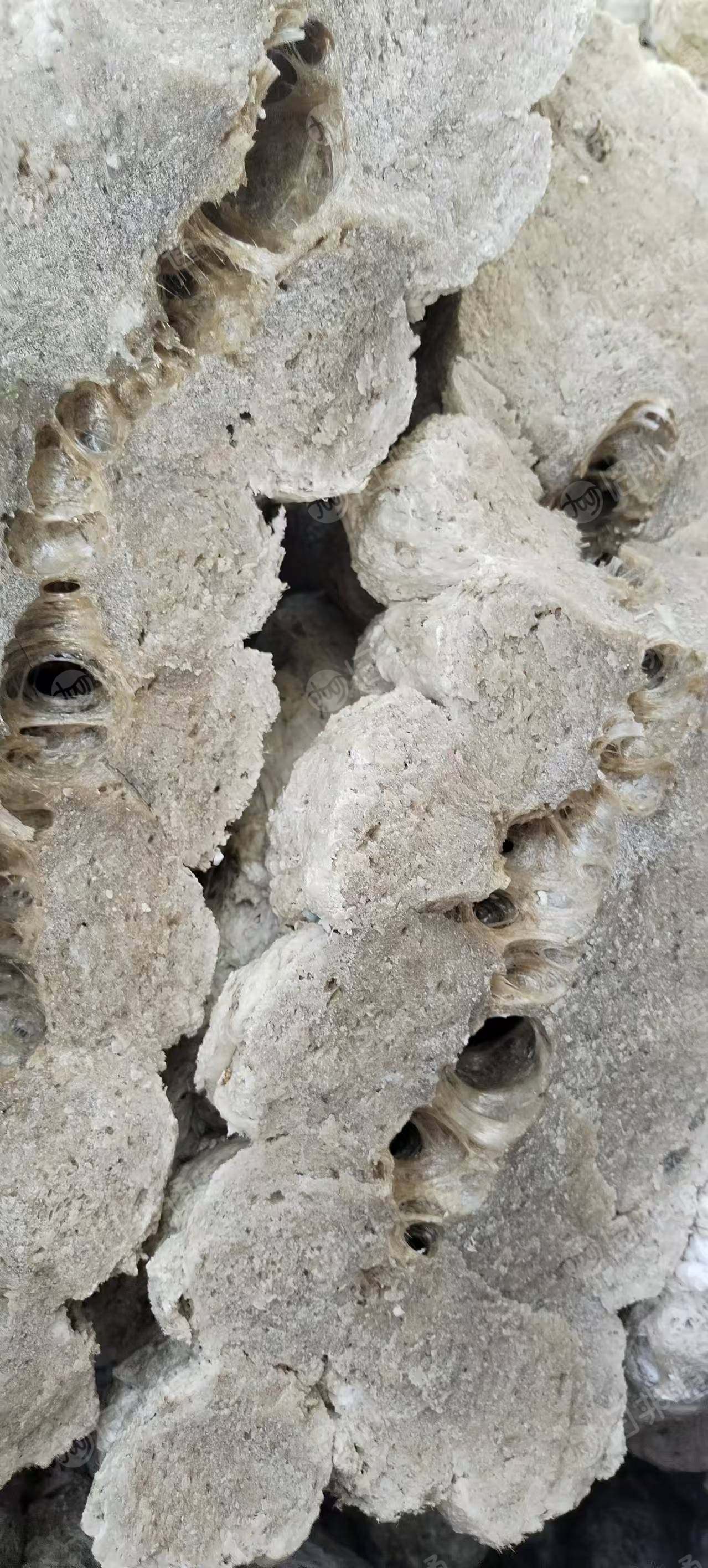 大量出售热熔块，统货