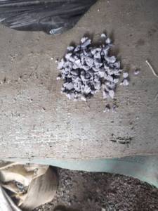 求购PVC疙瘩料,月需200吨,广东揭阳