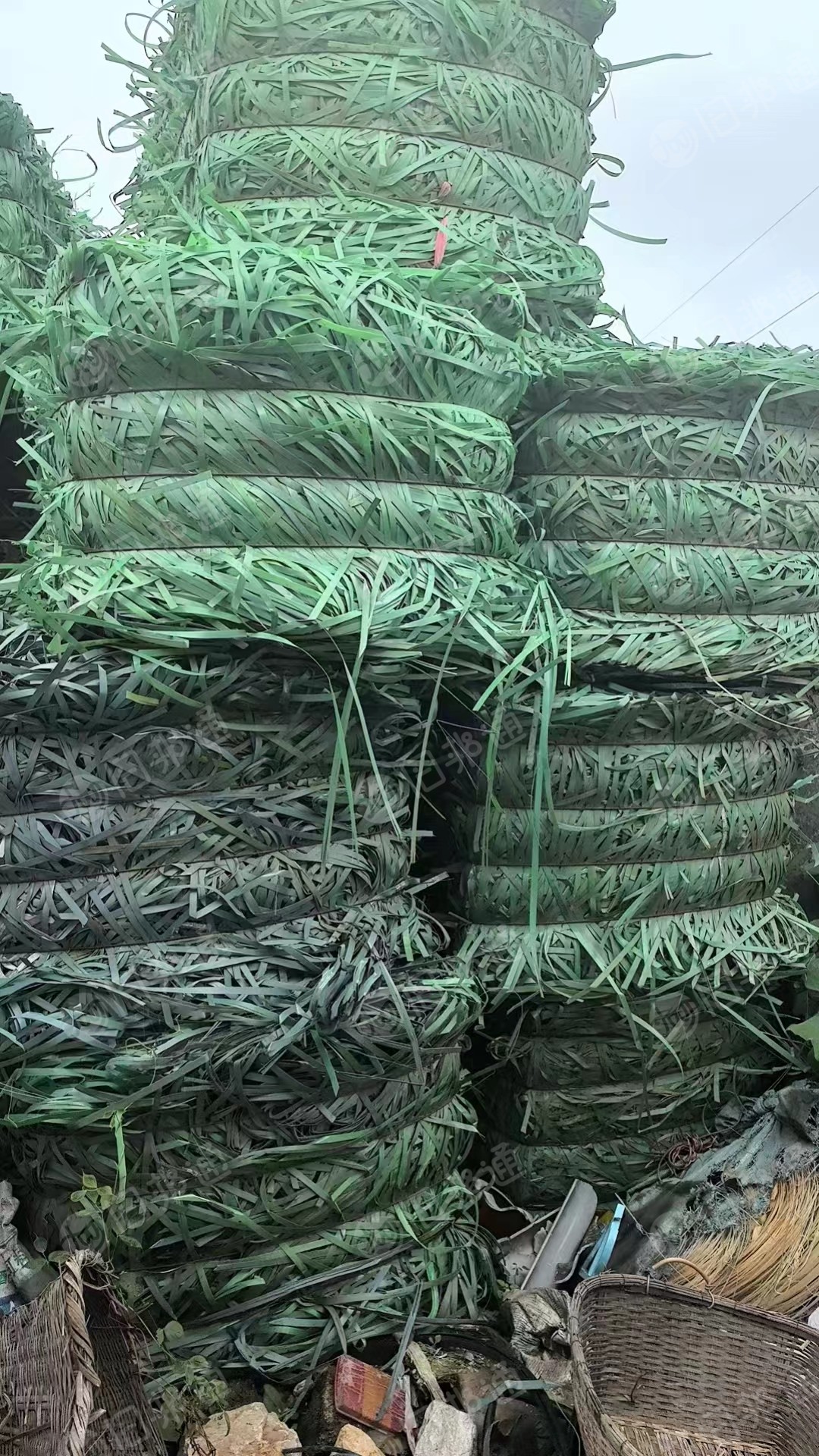 长期出售pet打包带废料，现货保底30吨左右
