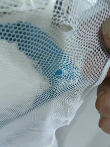 长期出售涤纶废布，做蚊帐布下来的，月供100多吨