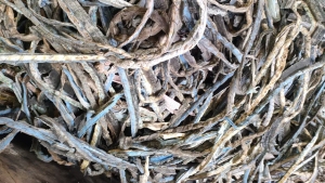 长期出售废棉绳，破碎料，用过的有沾一些机油，月供1-2吨，可以囤货