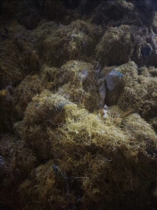 长期出售水洗编织袋破碎料，现货10多吨