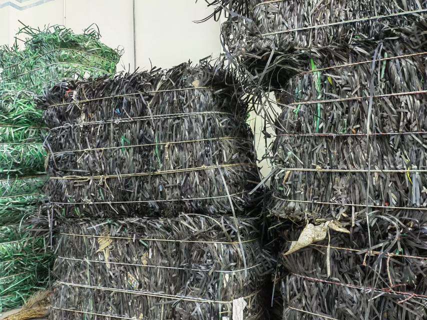大量收购PET打包带毛料