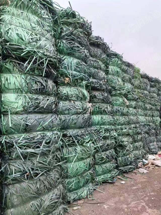 大量收购PET打包带毛料