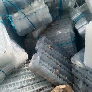 出售PET吸塑盒毛料，有带商标的也有不带商标的