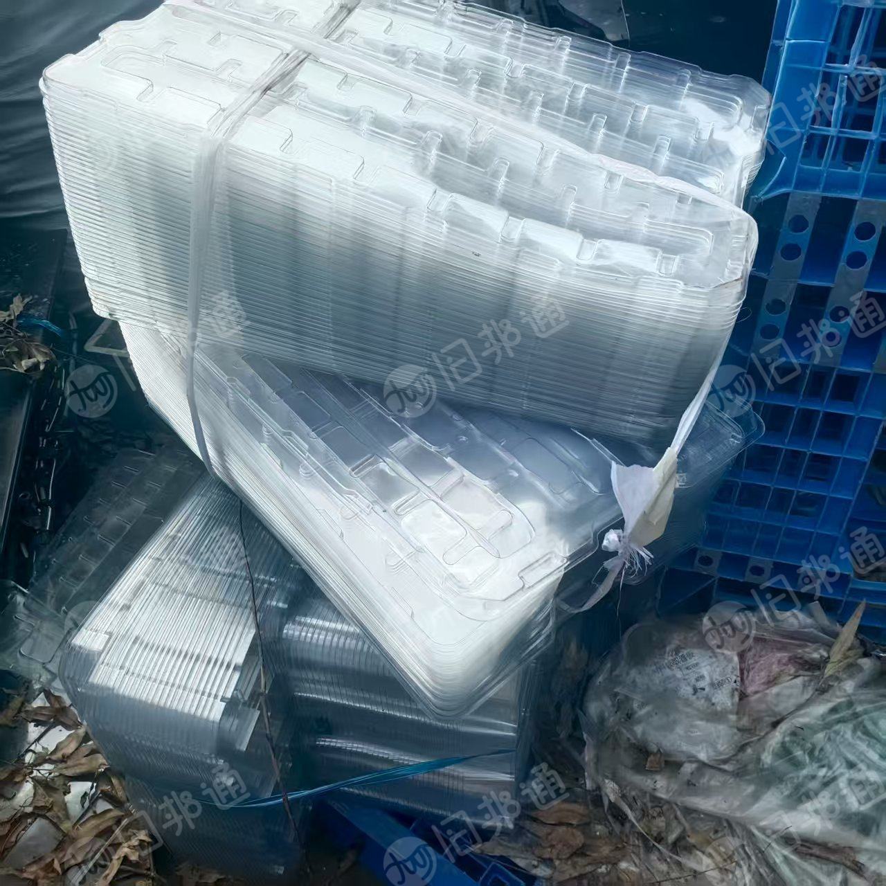 出售PET吸塑盒毛料，有带商标的也有不带商标的