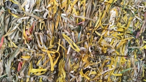 出售pp打包带，漂沉一体