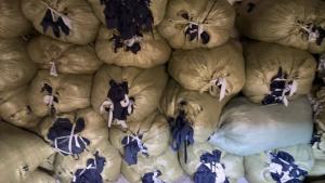 长期出售黑色的涤棉开花料，涤棉废布，50涤50棉，现货9.6米一车