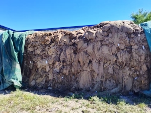 现货处理一批麻袋片，烟叶厂下来的，有一半左右发霉了，便宜处理，现货3吨左右，货在黑龙江七台河市