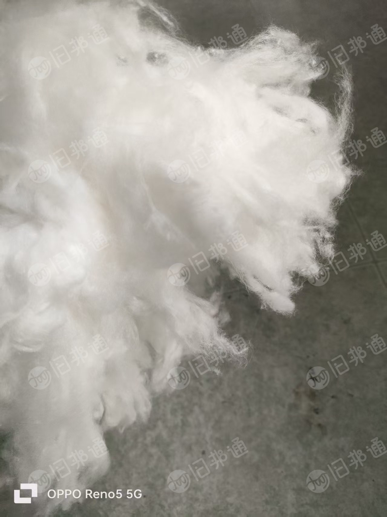 长期出售开松好的再生棉，粘胶棉，脱脂棉，涤纶开松棉，卫生材料、纺纱原料，可做棉球，棉签，无纺布