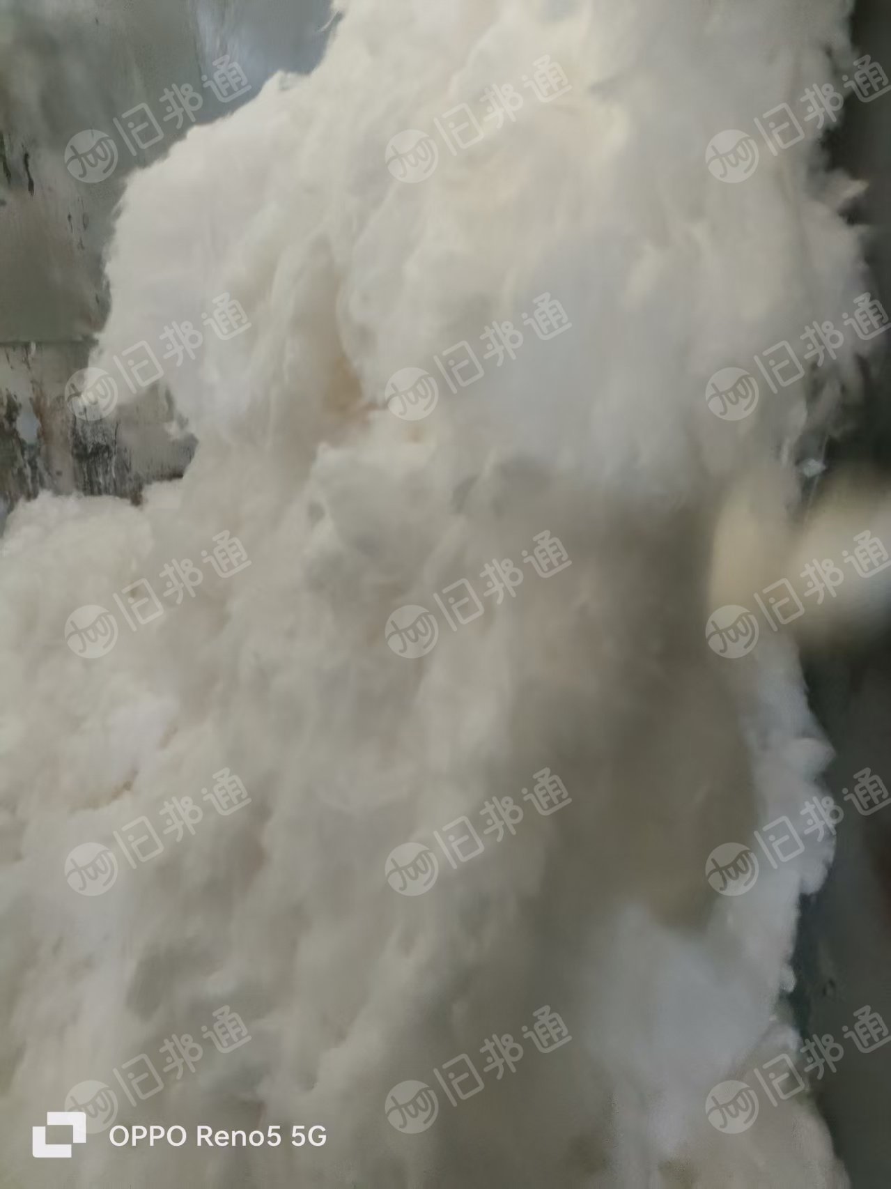长期出售开松好的再生棉,粘胶棉,脱脂棉,涤纶开松棉,卫生材料、纺纱原料,可做棉球,棉签,无纺布