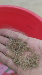 出售EPS颗粒，没过网