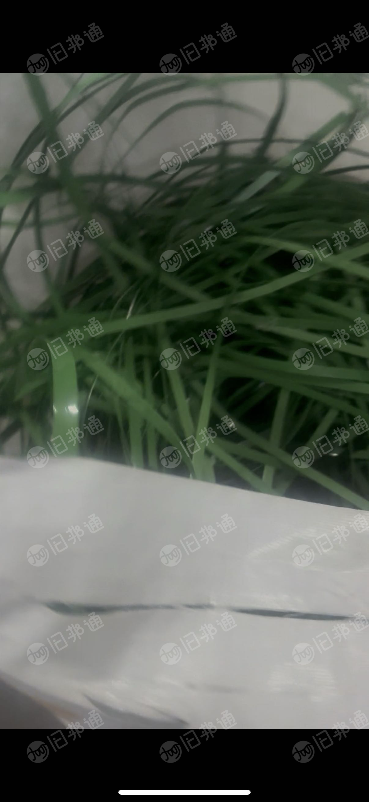 长期出售绿色打包带,棉纱厂下来的,每个月5吨左右