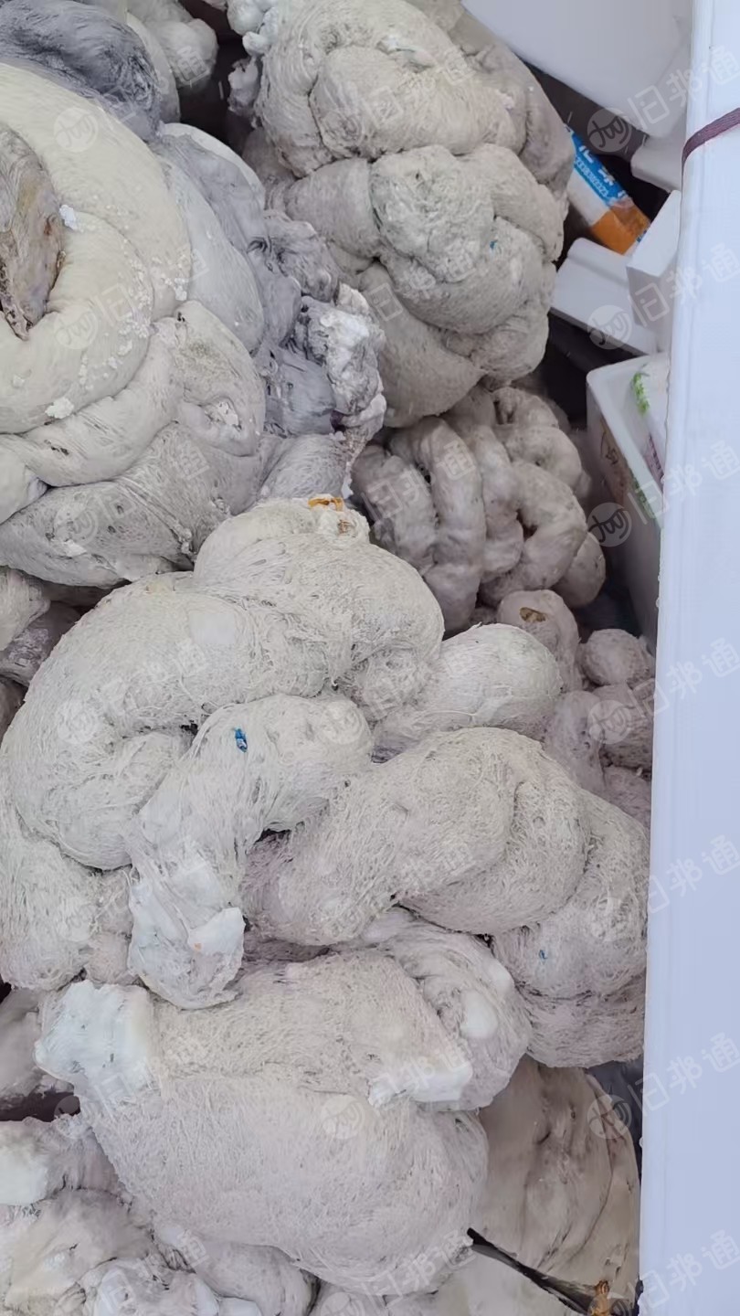 出售eps热熔块，泡沫压块，现货10吨