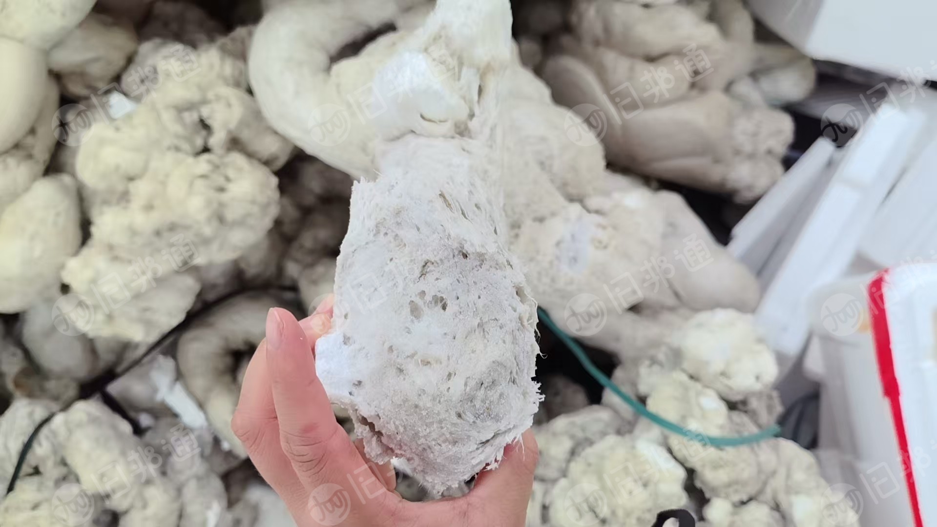 出售eps热熔块，泡沫压块，现货10吨