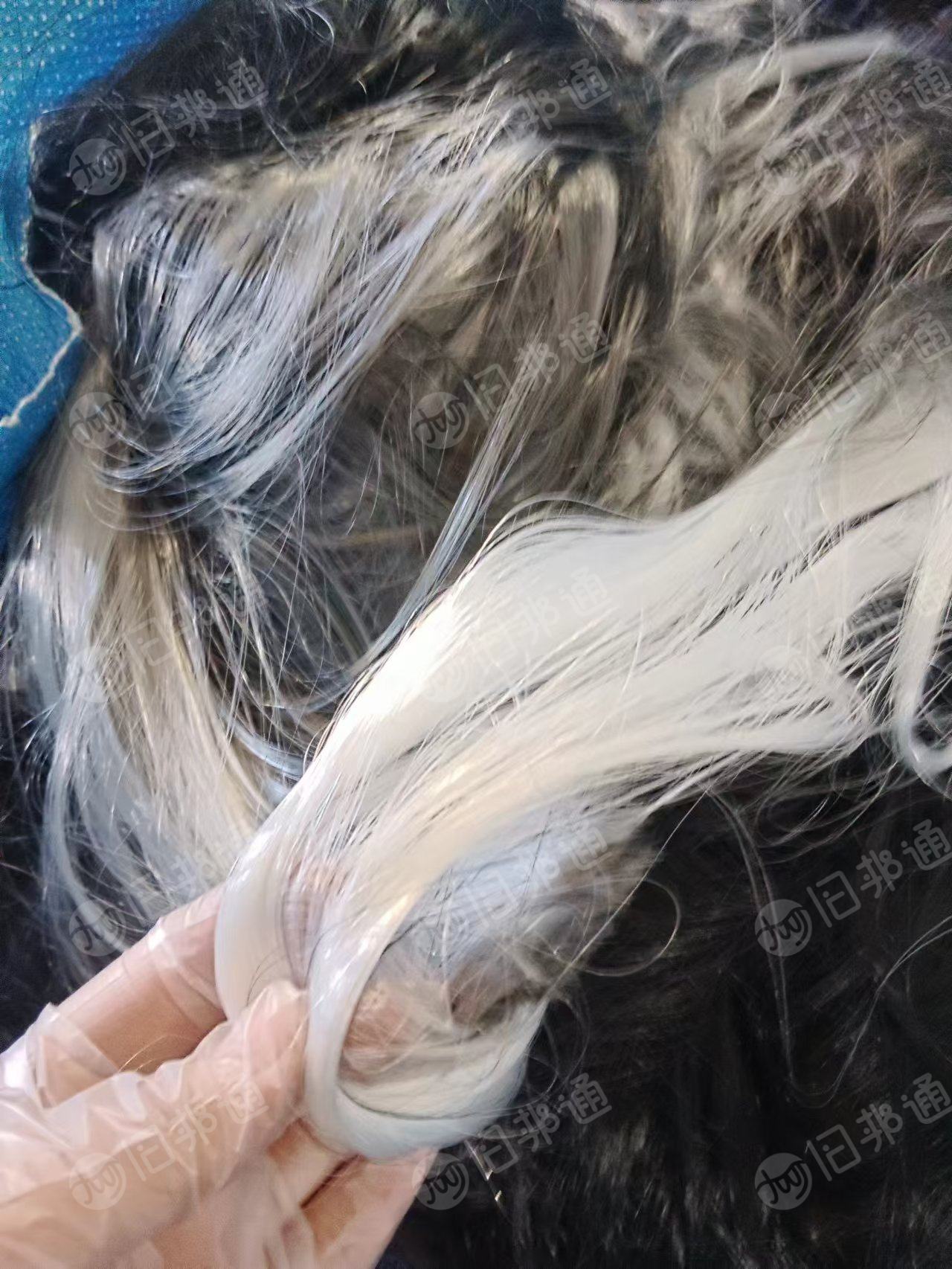 长期出售PBT复合PET废丝,假的眼睫毛废料,有白色和黑色,现货有15-16吨,货在山东青岛