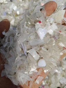 出售透明丙破碎料，透明PP破碎料