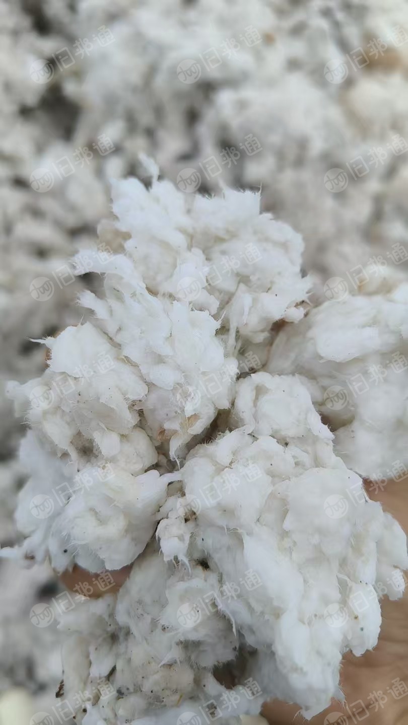 出售进口的甘蔗浆、竹浆的混合尾浆