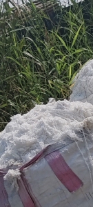 长期出售涤纶废丝，涤纶水丝，含水四五十左右，现货十几吨