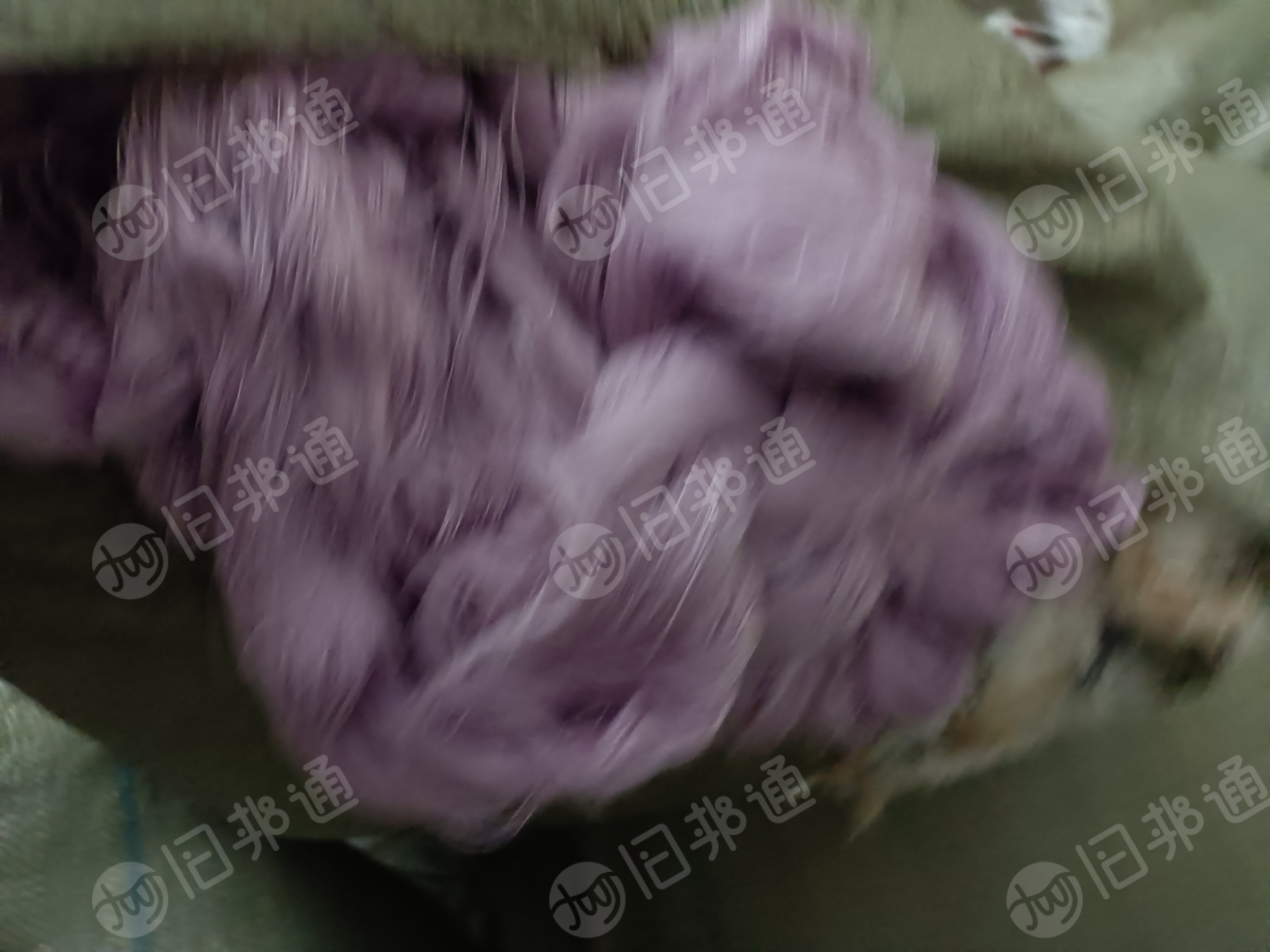 出售纯棉平面布，纯棉废布，现货10吨左右