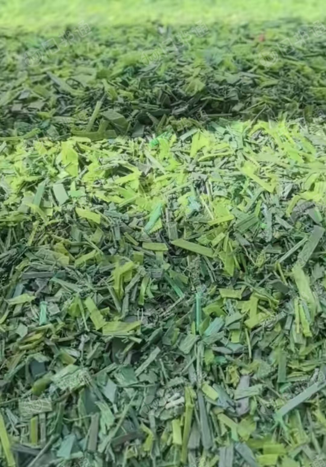 长期出售PET打包带破碎料，月供上百吨