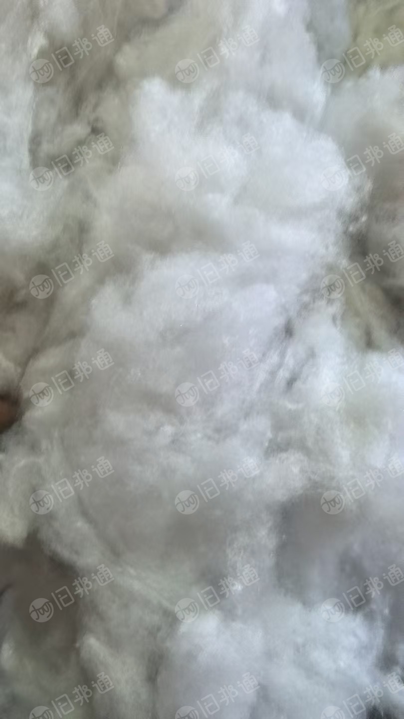 长期大量出售开松好的丝绵,枕芯棉,线头棉,白棉等,厂在广东河源