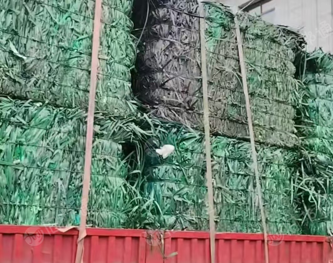 长期出售PET打包带废料