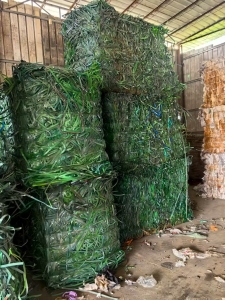 长期出售PET打包带废料，厂货社会料都有