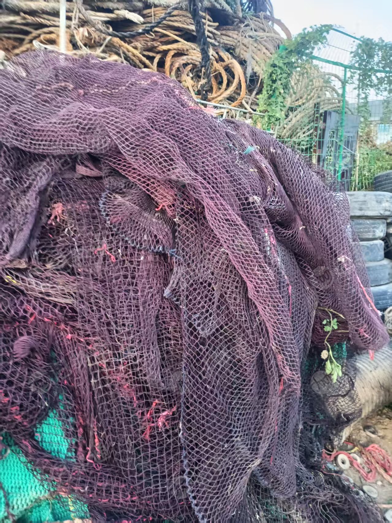 长期出售杂色的pet渔网，渔网，有红的有黑的，月供几十吨