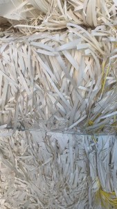 出售小花口杯纸边角料