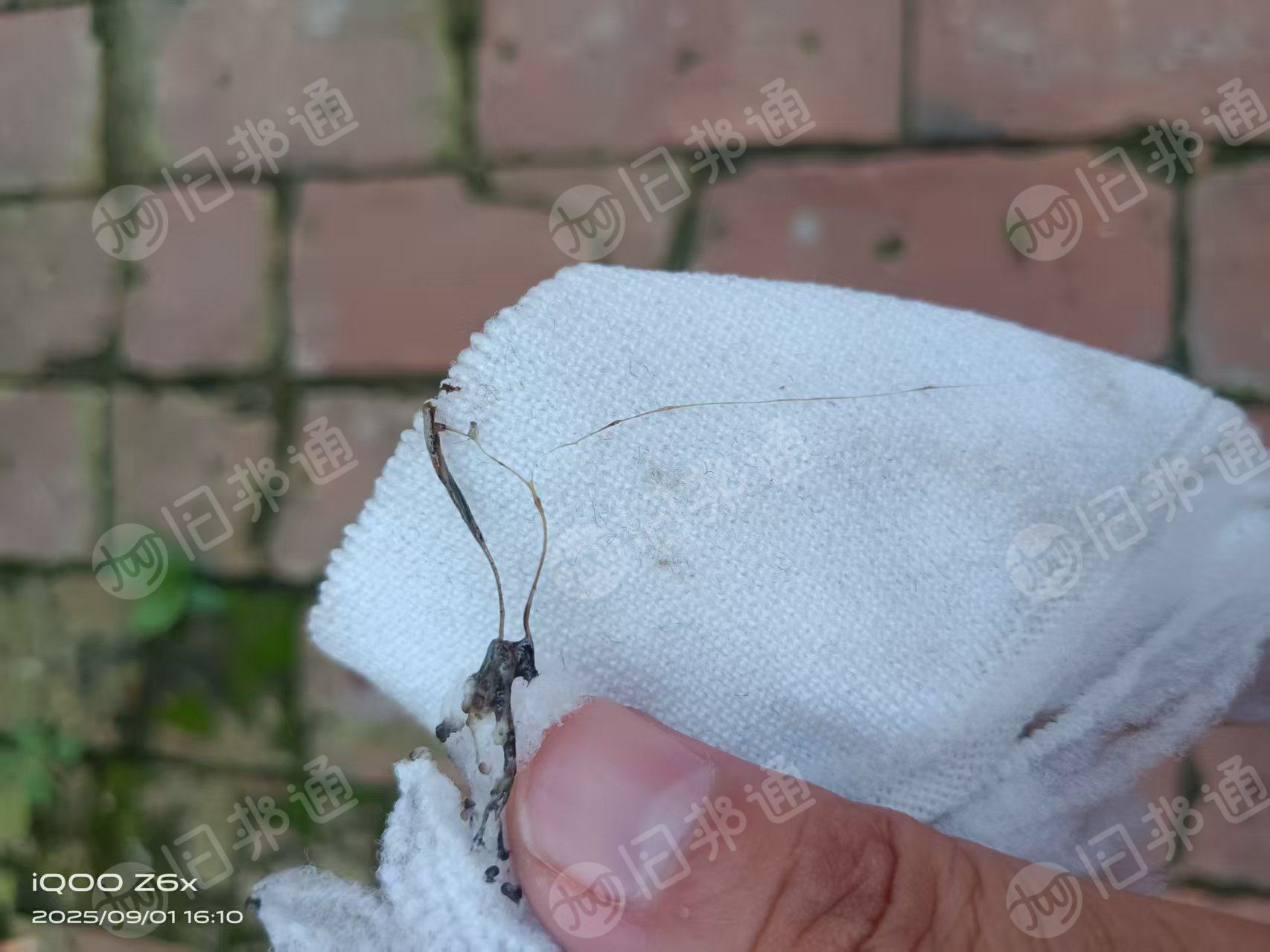 长期出售针织废纱，羊毛衫下脚料，可以拉丝，月供几十吨